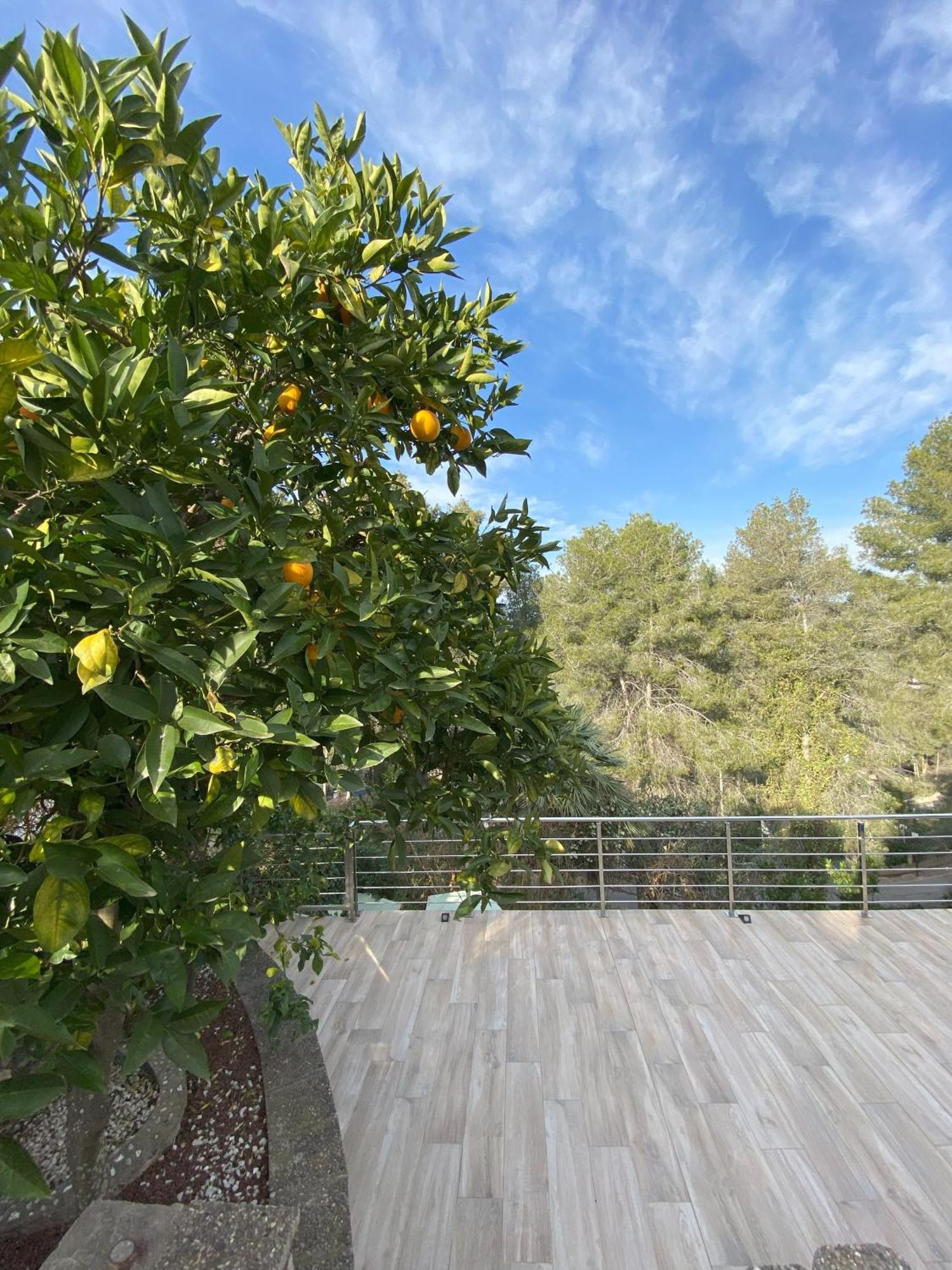 Villa Avril Piscina Privada Y Amplias Terrazas Olivella Exterior foto